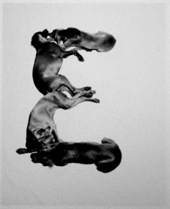 Image description is not available for 2001.063